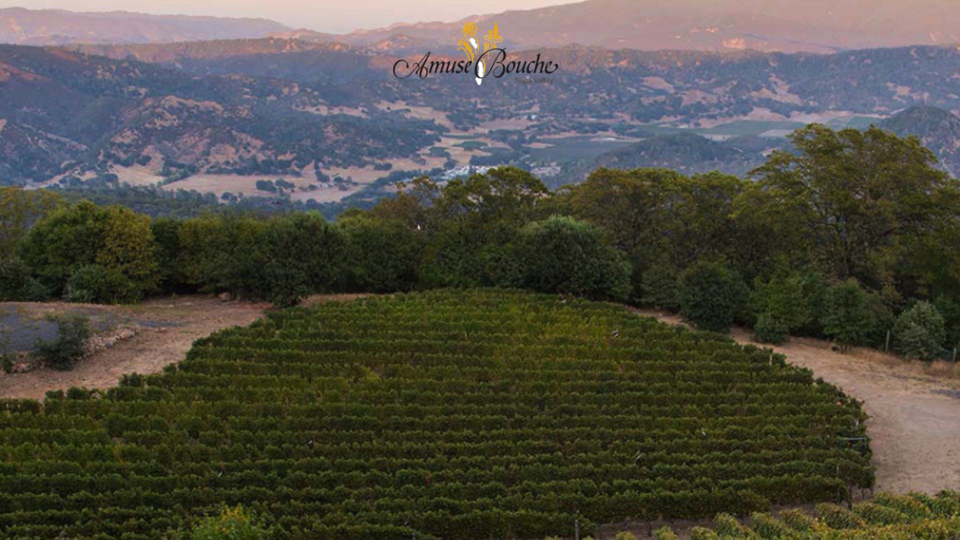 Amuse bouche vineyards